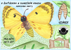 Hračkolka | Karty do divadélka Kamishibai | O žluťáskovi