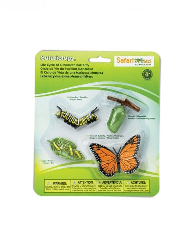 Safari Ltd. - Životný cyklus - Motýľ