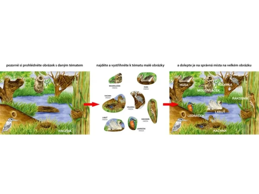 BETEXA Začínáme vystřihovat - U vody