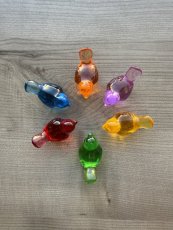 Vtáky vo farbách dúhy