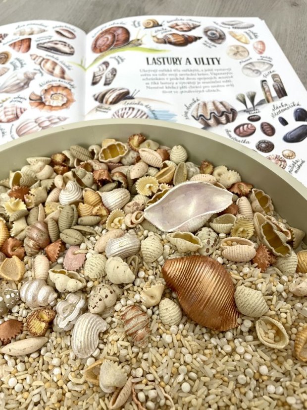 Zvídohraní | Směs Hledači mušlí | 600g