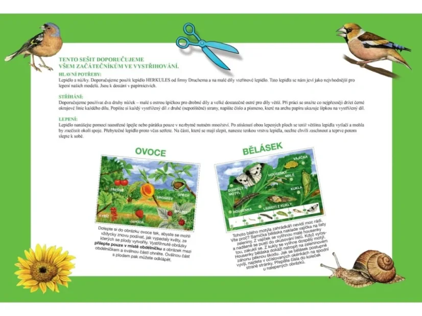 BETEXA Začínáme vystřihovat - Zahrada