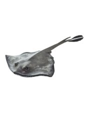 Safari Ltd. | Figurka | Rejnok