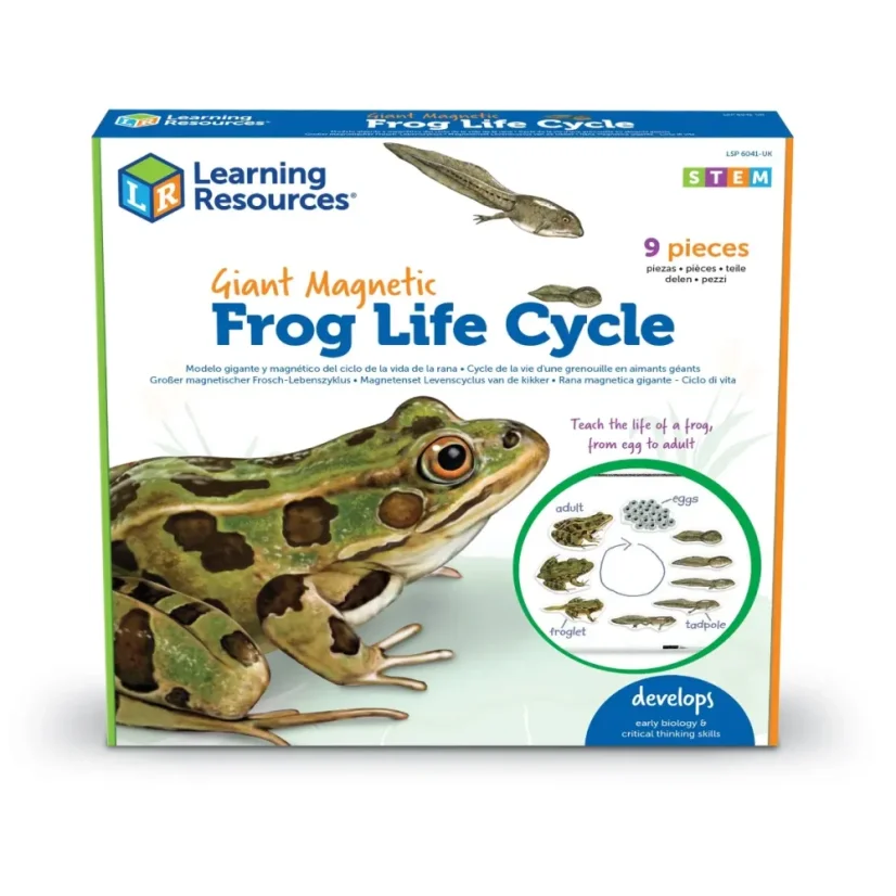 Learning Resources | Veľký magneticky životný cyklus | Žaba