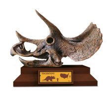Albi - Lovci lebek - Triceratops