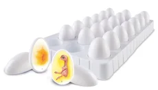 Learning Resources - Sada pro zkoumání životního cyklu kuřat