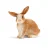 Schleich | Králík