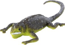 Jašterica meniaca farbu