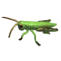 ANIMAL LIFE - Životní cyklus - Kobylka
