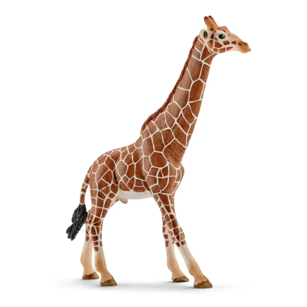 Figúrka žirafieho samca Schleich Wild Life